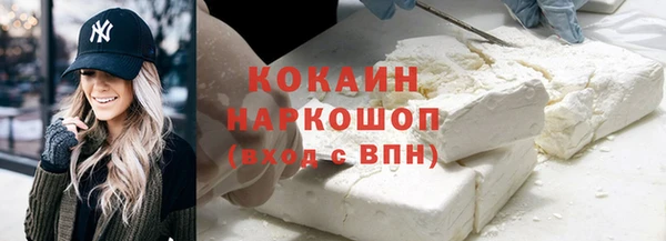 хмурый Арсеньев