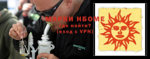 хмурый Арсеньев