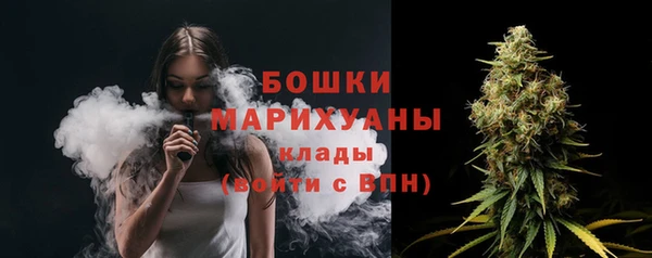 хмурый Арсеньев