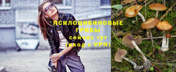 прущий лед Аркадак
