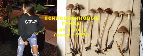 прущий лед Аркадак