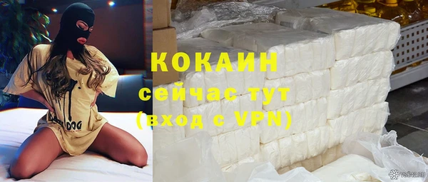 хмурый Арсеньев